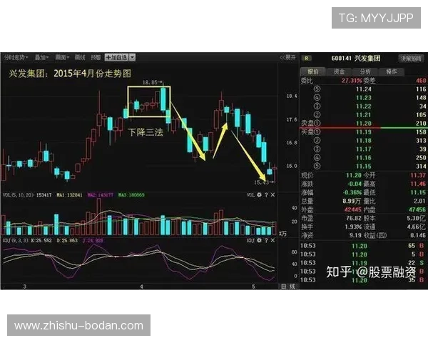 波胆单双怎么看盘避坑指南揭秘高频玩法防骗技巧